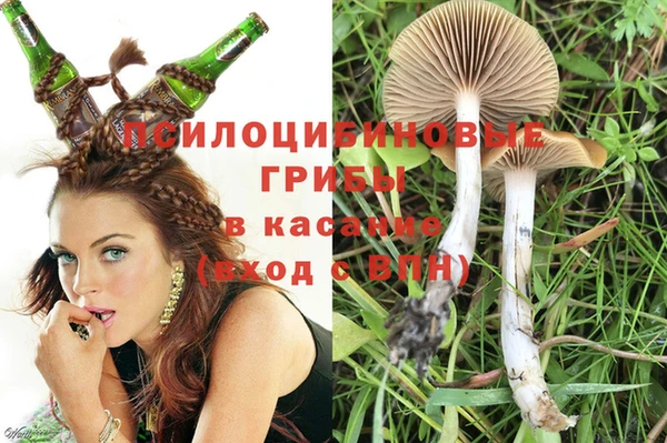 каннабис Белокуриха