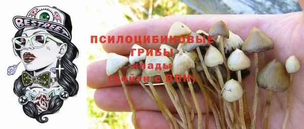 каннабис Белокуриха