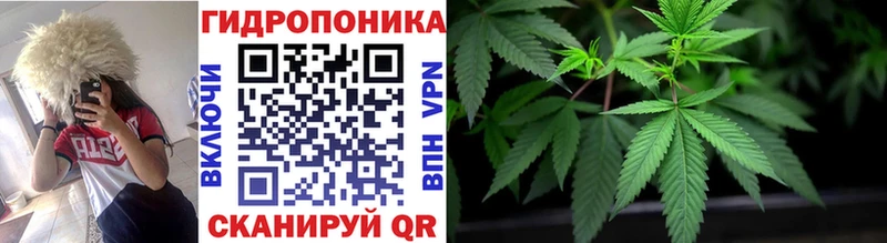 сколько стоит  Полесск  Конопля AK-47 